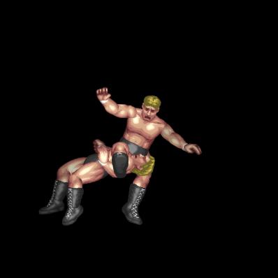 Legdrop Reverse DDT