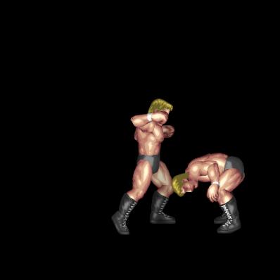 Punch Feint DDT (clincher)