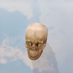 12140_Skull_v3_L2
