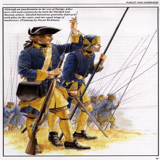 swedish carolean Flag Bearer