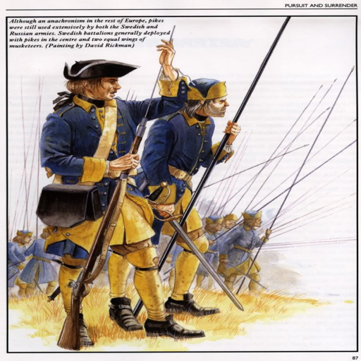 swedish carolean guard inf
