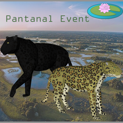Khaydar's Bazaar - Pantanal Special