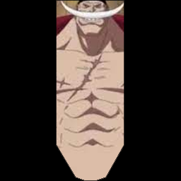 the one piece ie real