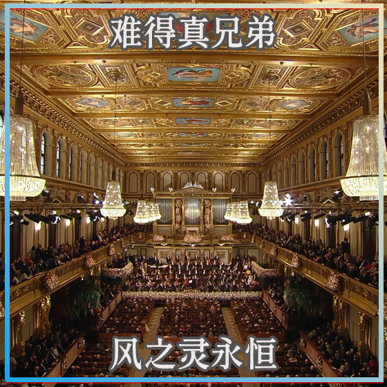 难得真兄弟（弦乐版）