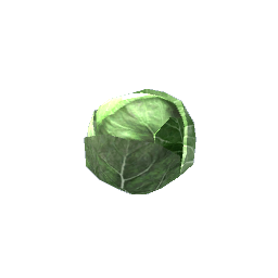 Cabbage (for kitchen counter)