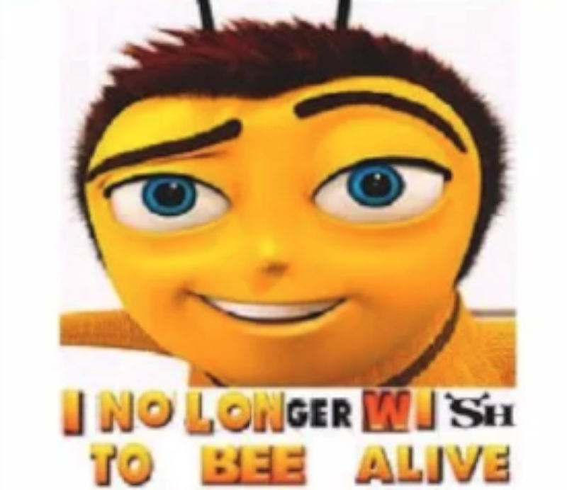 i no longer wish to bee alive