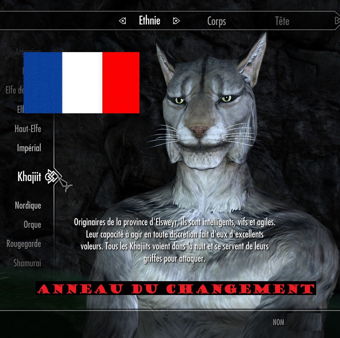 Ring of Change Traduction Fr.