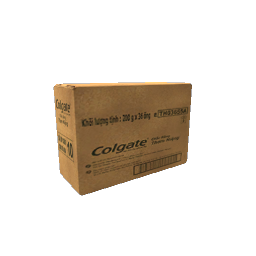 Toothpaste Bulk Box