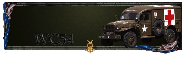 USF WC54 medical