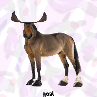 Moose