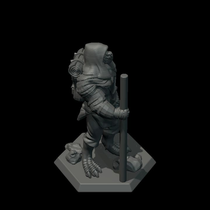 Dragonborn NPC