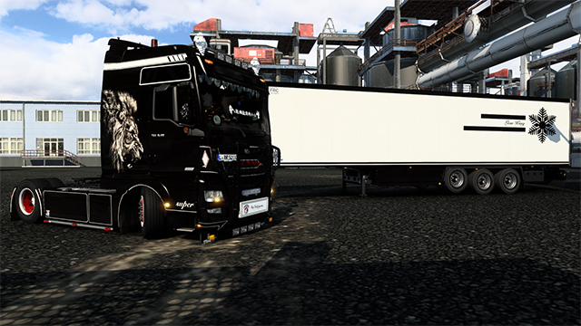man tgx euro6 lion king