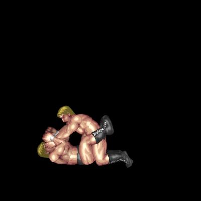 Sakuraba Mongolian Chop Combo