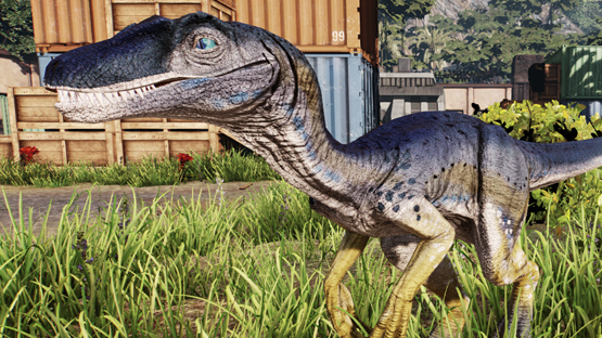 Tuna Novaraptor