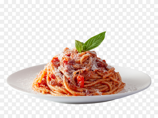 spaghetti