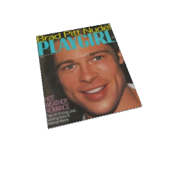 Playgirl Brad Pitt