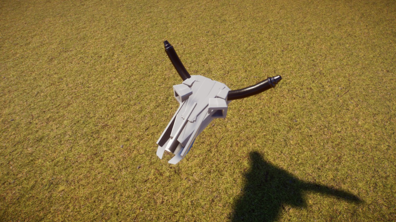 Cattle Skull