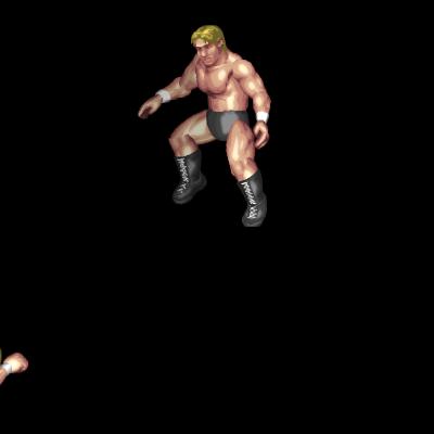 Spider German Suplex B