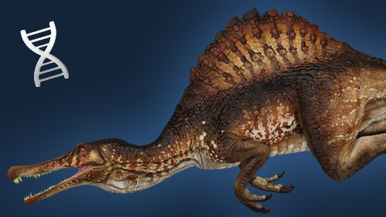 Imperator Spinosaurus (Skin+Mut)