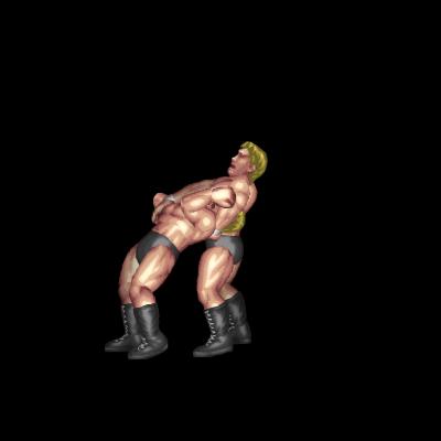 Reverse DDT B