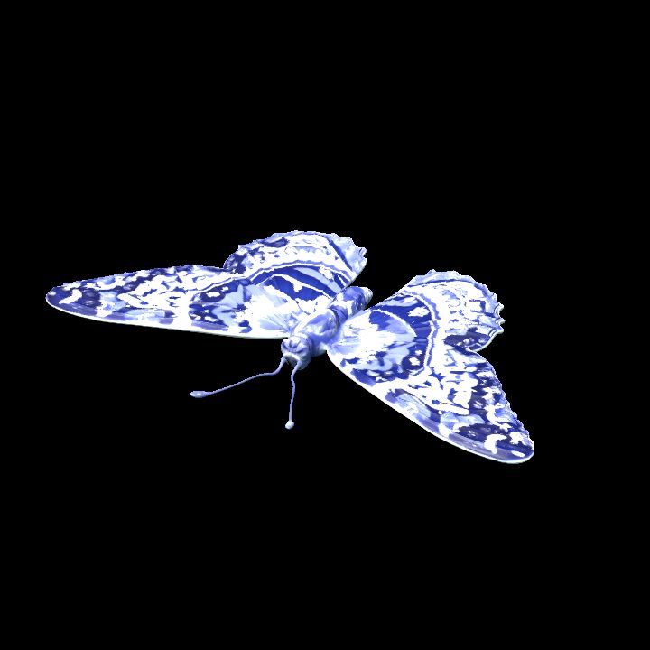 Butterfly 1