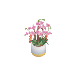 花開富貴 盆栽
