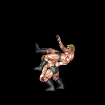 Enzui Wheel Kick B