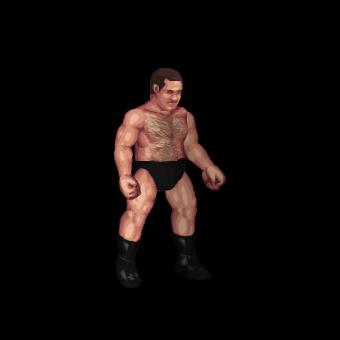 Mike DiBiase
