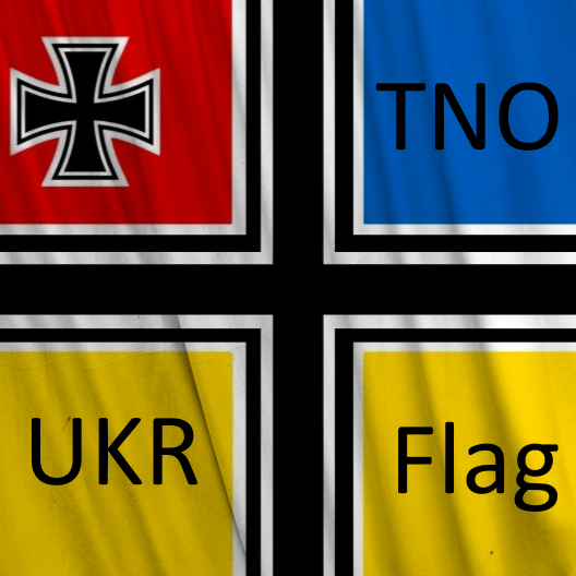 TNO Ukraine National Socialist Flag