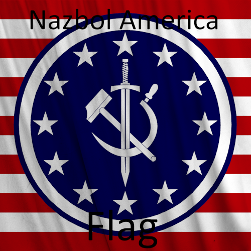 Nazbol America Flag