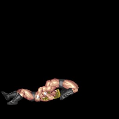 Angle Northern Lights Suplex