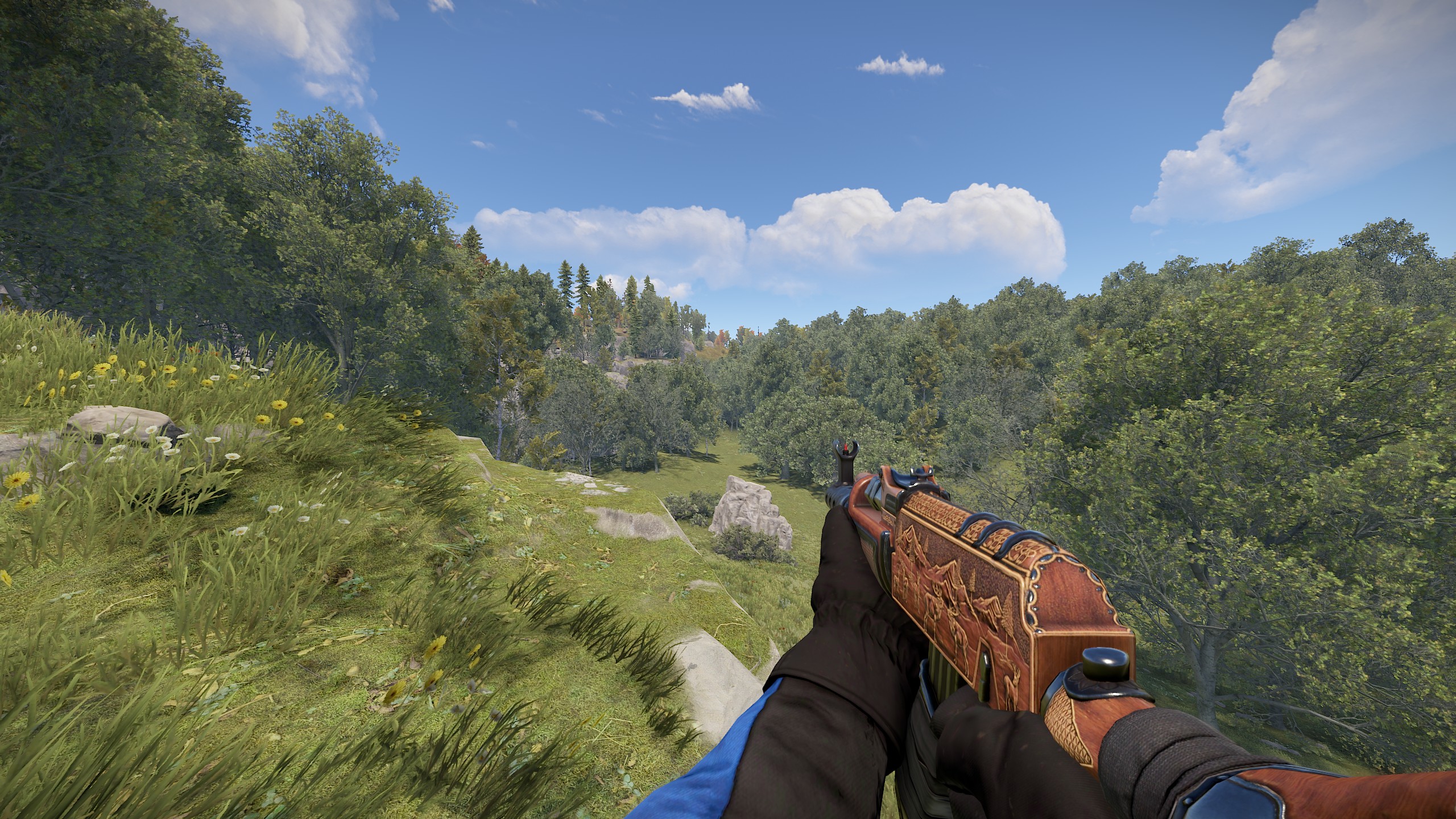 Hunting Assault Rifle