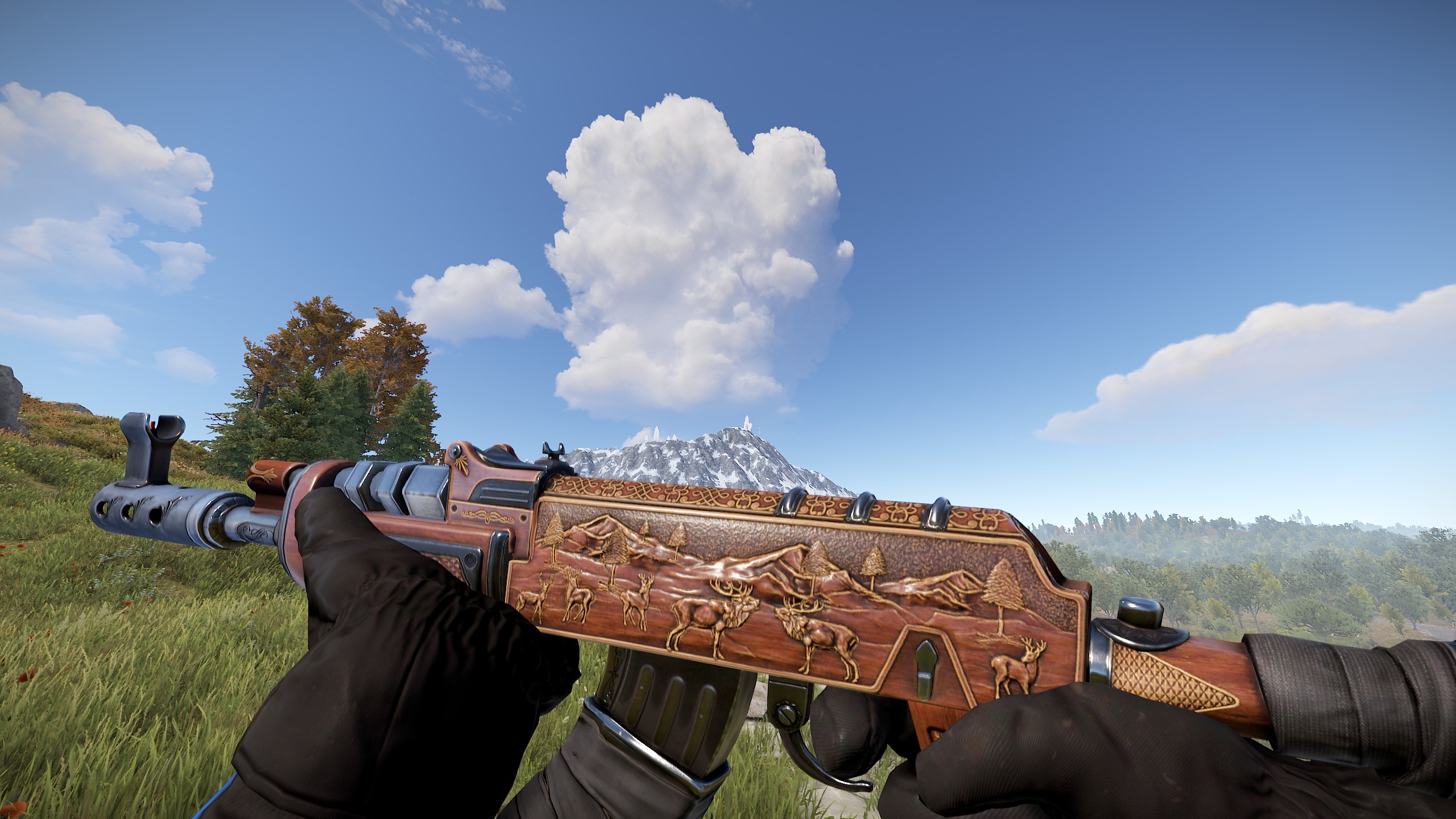 Hunting Assault Rifle