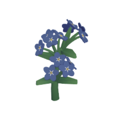 Forget-Me-Nots