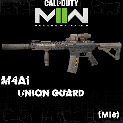 COD:MW2022 M4A1米字卫士（M16）
