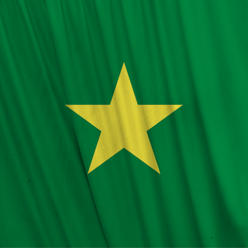 French Senegal Better Flag