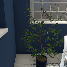 House Tree  2m  Hand Painted