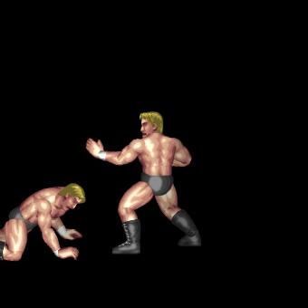 Otou-ryu Forefist Punch