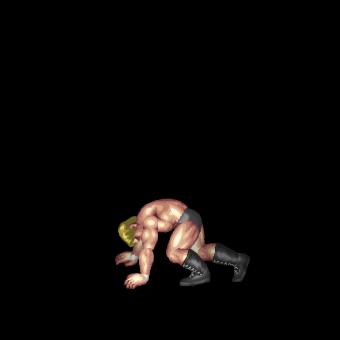 Running Low Dropkick