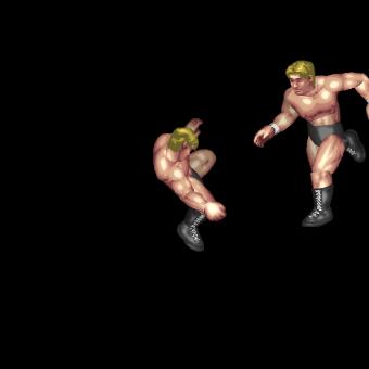 Spinning Dropkick