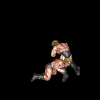 Lariat Counter Trip
