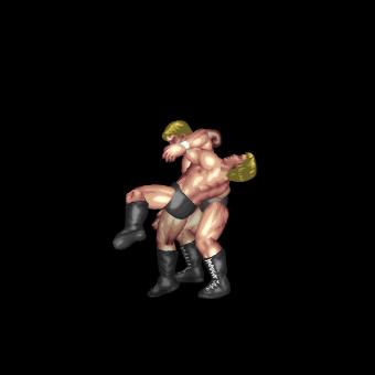 Somersault Facebuster