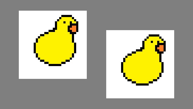 find the ducks basic duck