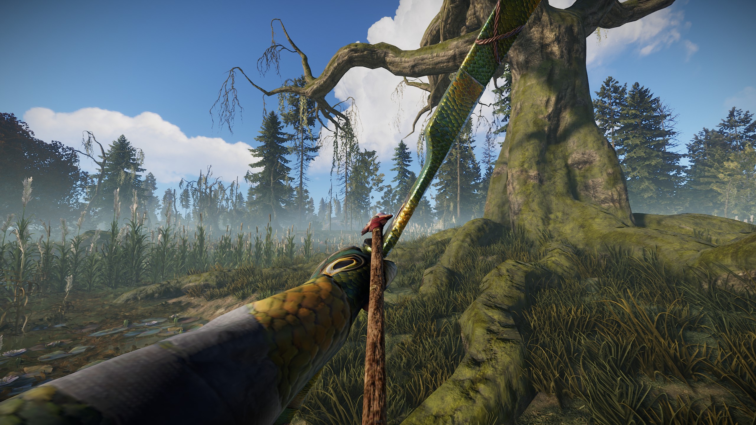 Fish Bow