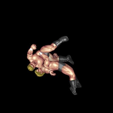 T-Bone Suplex