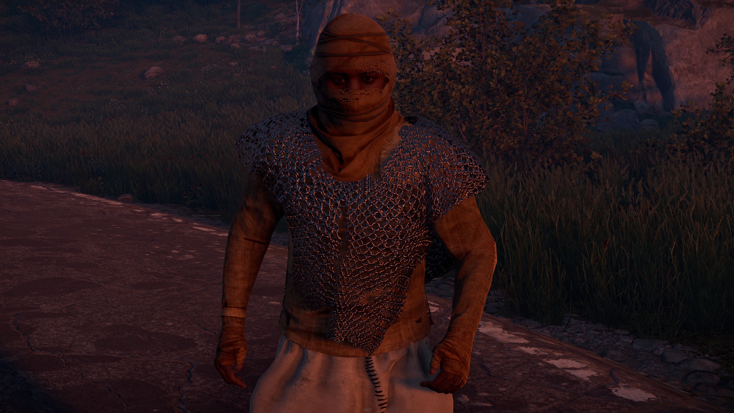 Chainmail Poncho