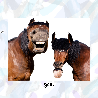maxs horses