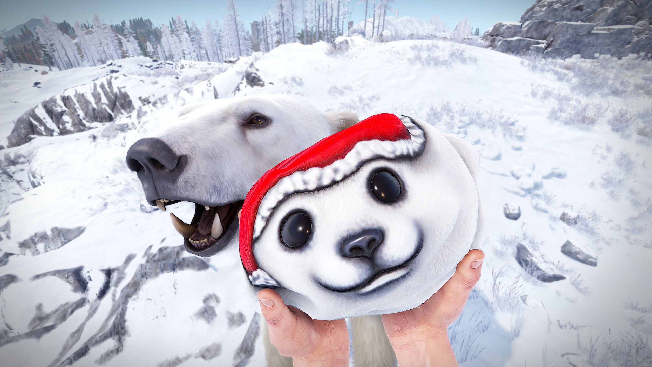 Polar Bear Rock