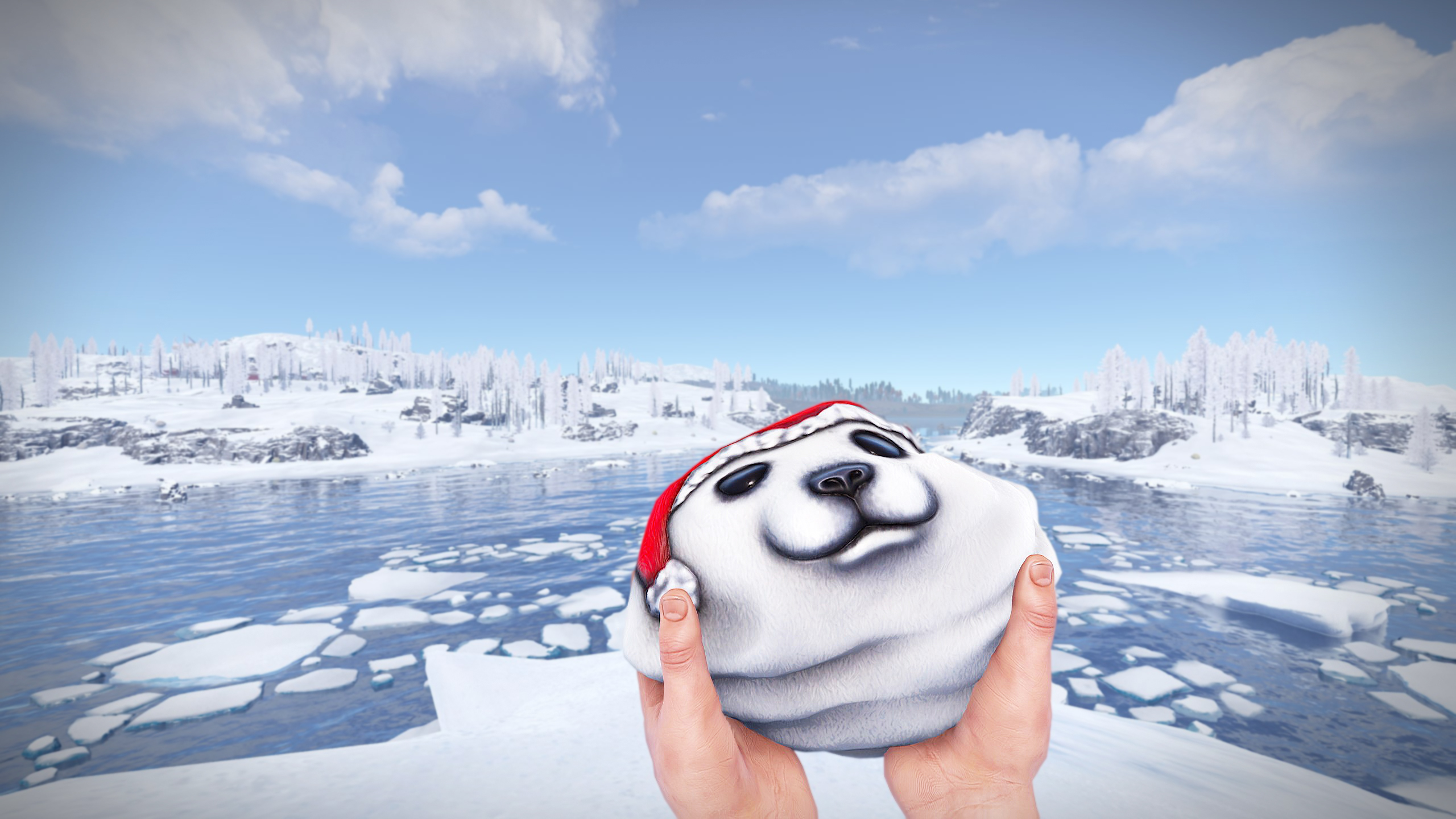 Polar Bear Rock