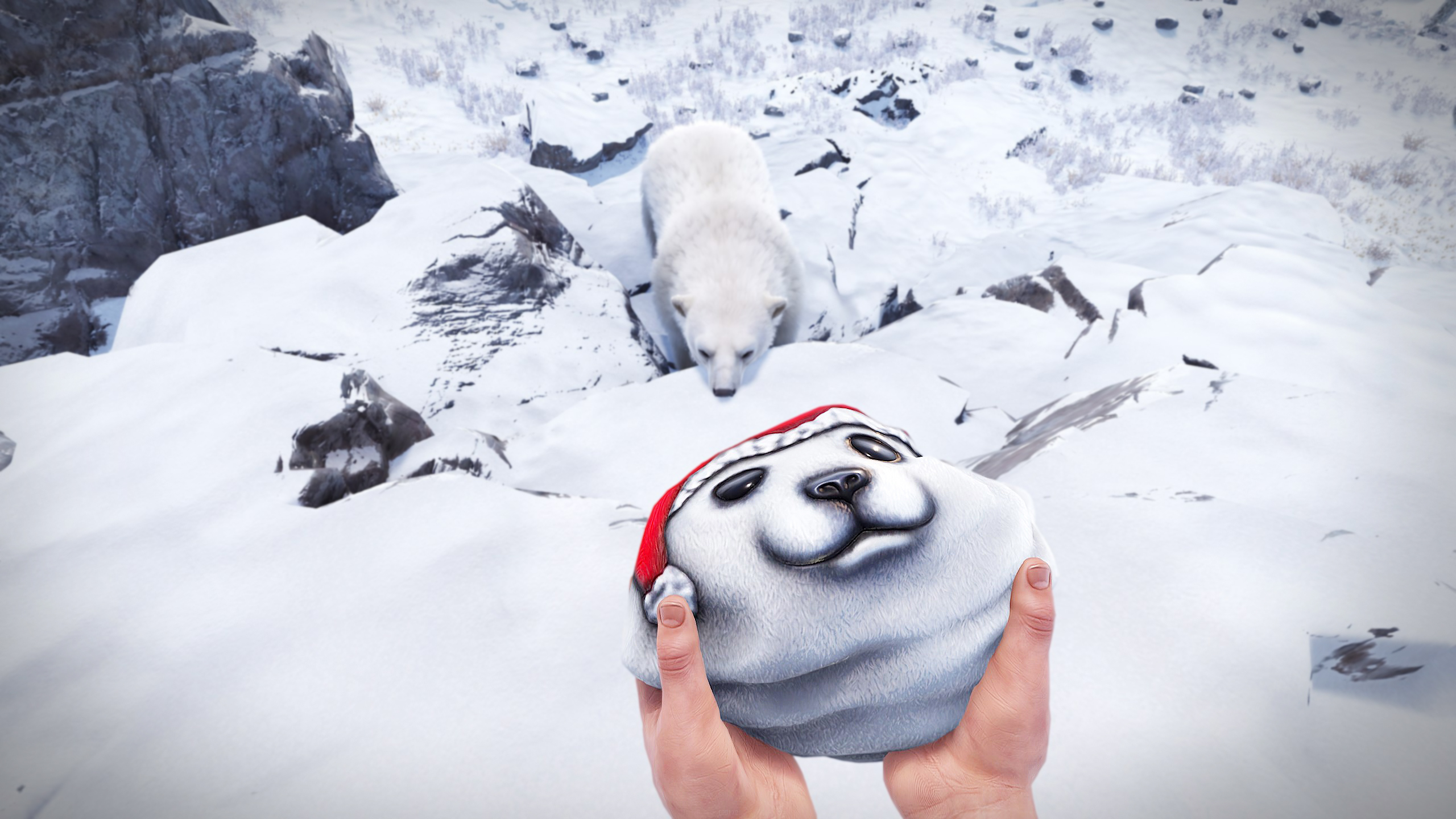 Polar Bear Rock